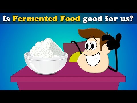 ¿Los alimentos fermentados son alcohol? ¿Los alimentos fermentados son alcohol?