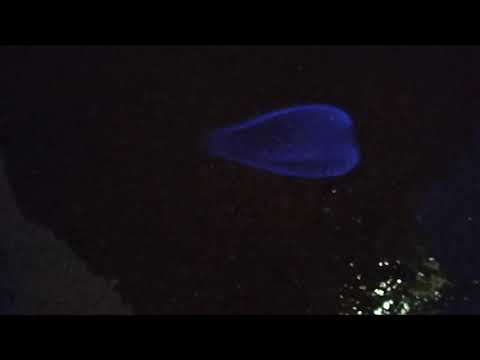 ¿40% de alcohol significa 80 grados?