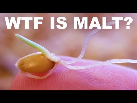 ¿Qué puedo usar en lugar de malta para hornear? ¿Qué puedo usar en lugar de malta para hornear?