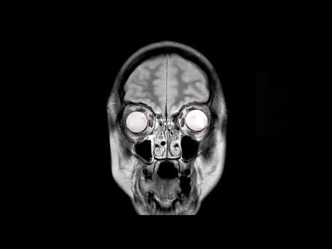 ¿Cuántos litros es un paquete de 6 cervezas? ¿Cuántos litros es un paquete de 6 cervezas?