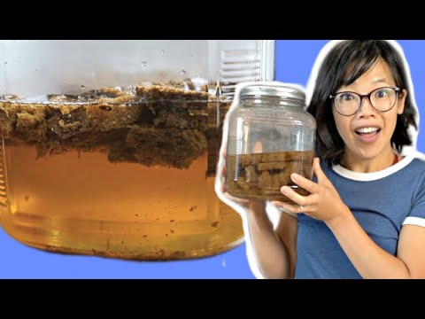 Tu pregunta: ¿Puedes convertir el pan en alcohol? Tu pregunta: ¿Puedes convertir el pan en alcohol?