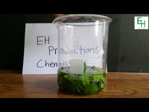 ¿Por qué usas alcohol para extraer la clorofila?