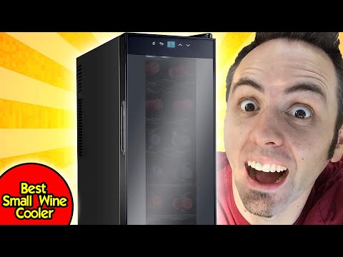 ¿Puedo usar una mini nevera para el vino? ¿Puedo usar una mini nevera para el vino?