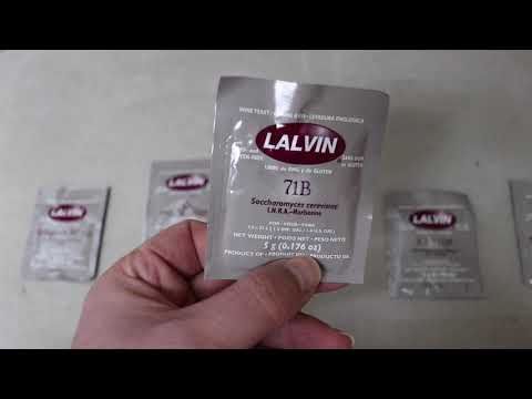 Mejor respuesta: ¿Cuál es la mejor levadura para alcohol? Mejor respuesta: ¿Cuál es la mejor levadura para alcohol?