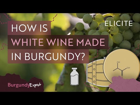 ¿Cómo se pelan las uvas para el vino blanco?