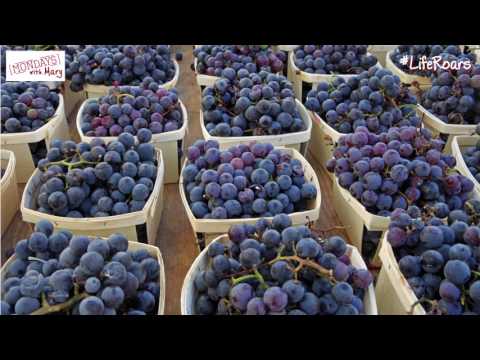 ¿Cuántas uvas se necesitan para hacer 1 litro de vino?