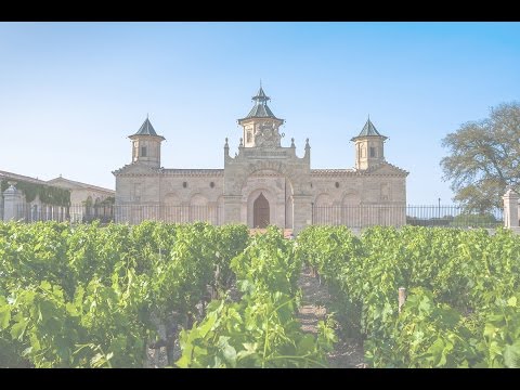 ¿Cuánto vino puede producir un acre? ¿Cuánto vino puede producir un acre?