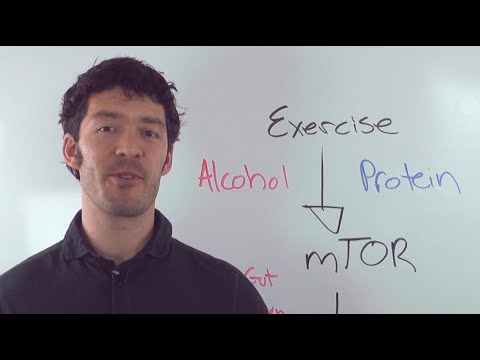 ¿Cuál es el efecto del alcohol sobre las proteínas?