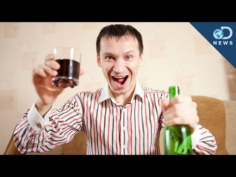 ¿Qué tan borracho te pondrán dos botellas de vino?