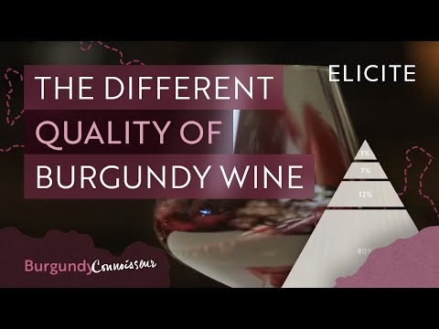 ¿Cuál es la diferencia entre Borgoña y vino tinto?