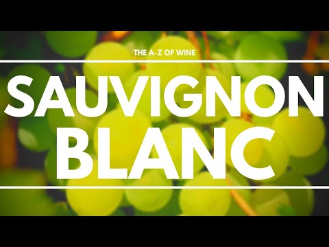 Pregunta frecuente: ¿Cuántos carbohidratos y azúcares tiene el Sauvignon Blanc? Pregunta frecuente: ¿Cuántos carbohidratos y azúcares tiene el Sauvignon Blanc?