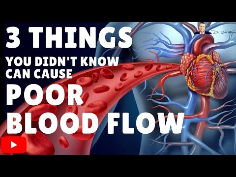 ¿El alcohol es bueno para la circulación sanguínea?