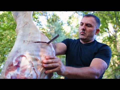 Pregunta frecuente: ¿Qué hace cocinar carne en cerveza?