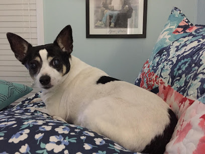 Cut Rate Package Shoppe - Licorería en Moncks Corner Cut Rate Package Shoppe - Licorería en Moncks Corner