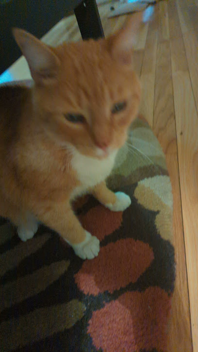 Wine & Liquor - Licorería en East Haven